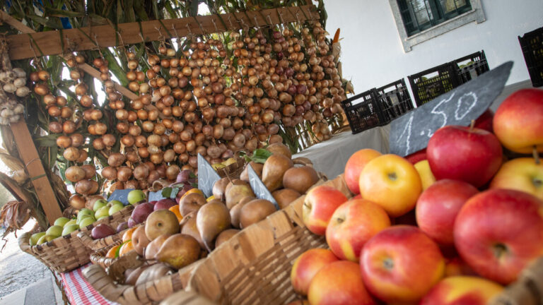 produtos_campo_colheitas