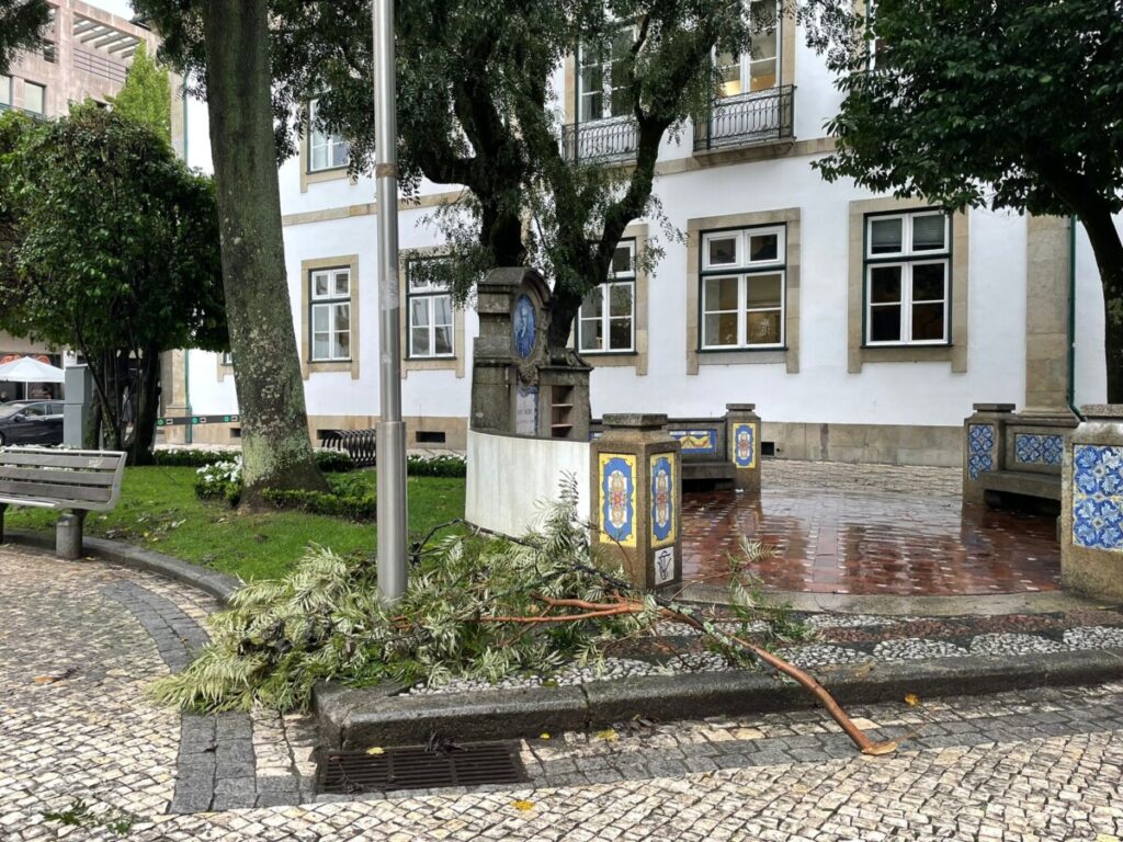  Tempestade Kirk: Mais de 30 quedas de ramos e árvores em Viseu e estradas cortadas