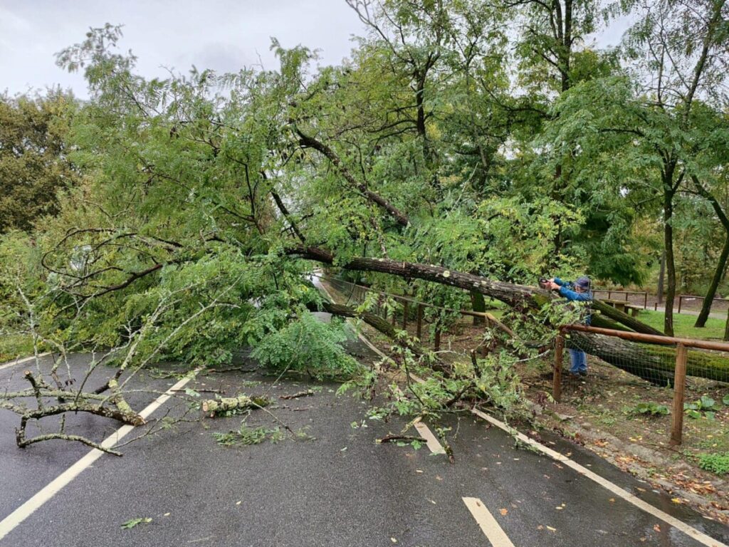  Mais de 100 ocorrências devido à chuva. Viseu e São Pedro do Sul são os concelhos mais afetados