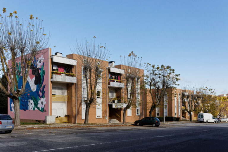 quinta da carreira habitação social viseu