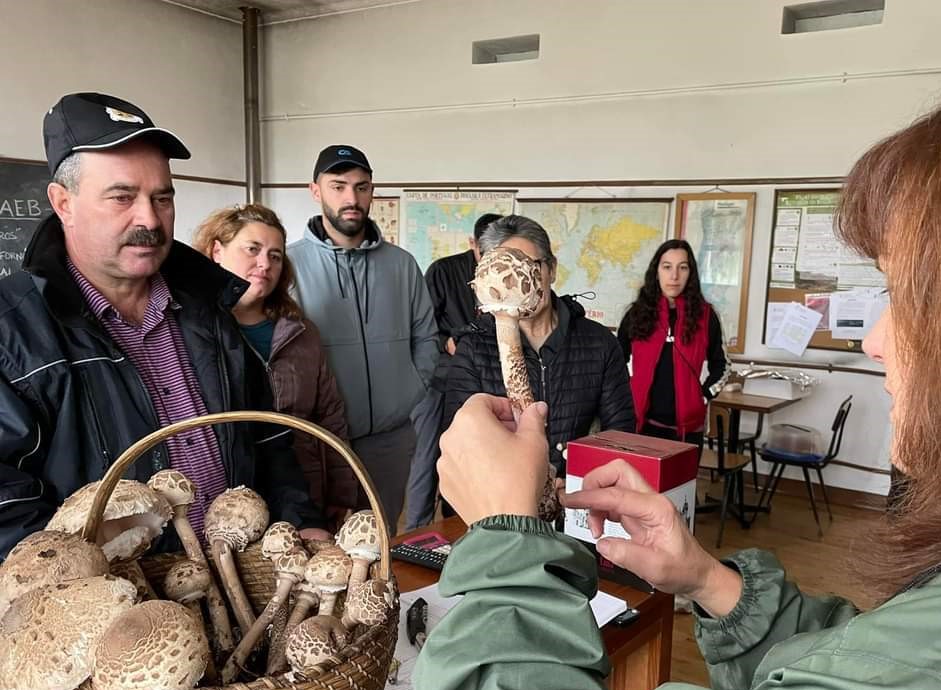  Aldeia de Aguiar da Beira convida a uma "ida" aos míscaros