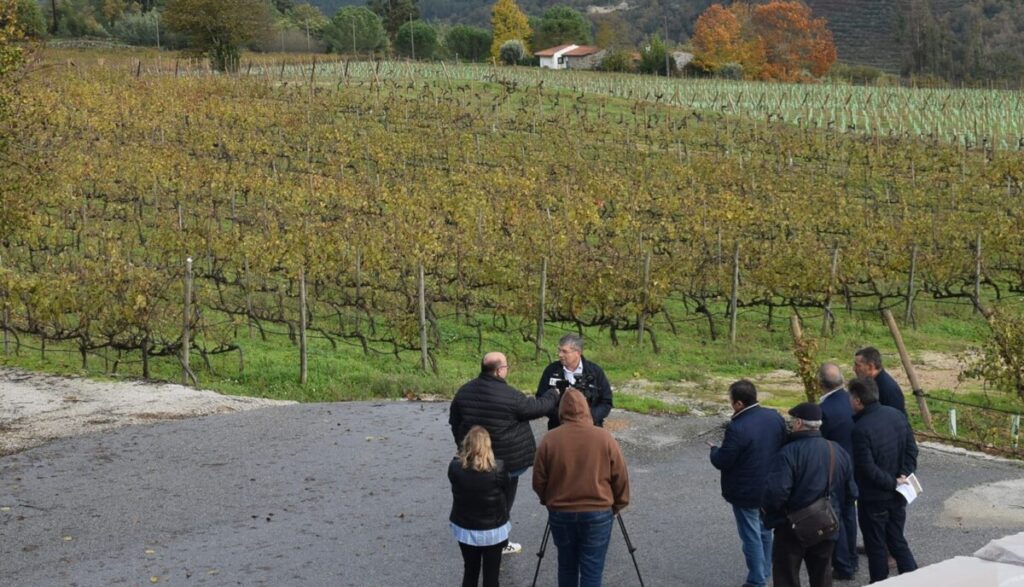  Visitas a adegas e provas de vinhos para assinalar Dia do Enoturismo em Nelas e Penalva do Castelo