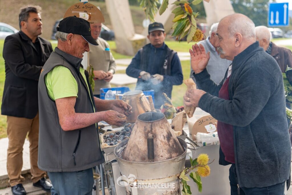  Município de Sernancelhe nomeado para a Gala da Castanha