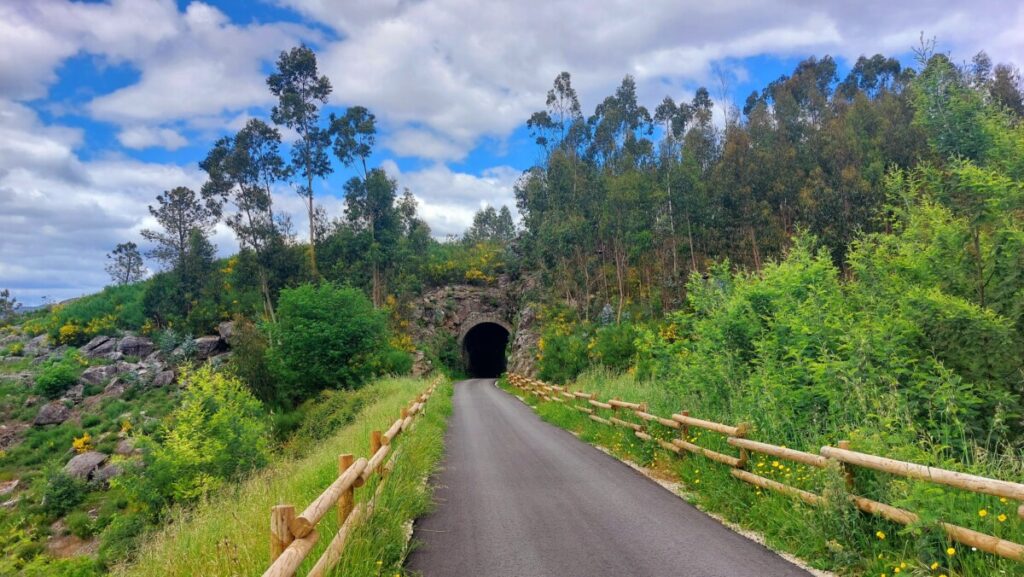  Ecopista do Vouga recebe caminhada a 24 de novembro