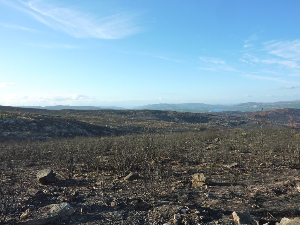  História do fogo nas Serras da Lapa e Leomil: Colóquio em Sernancelhe reflete sobre décadas de incêndios rurais e a crise dos grandes fogos