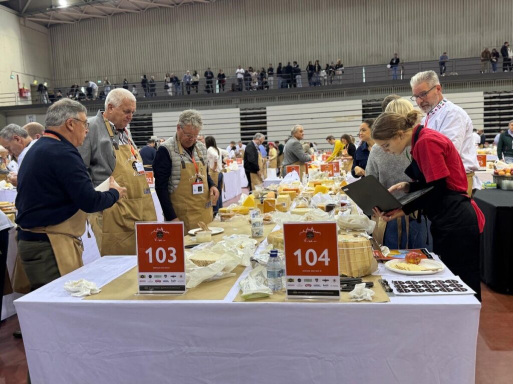  Até domingo, somos todos "afinadores" de queijo no maior concurso do mundo que decorre em Viseu