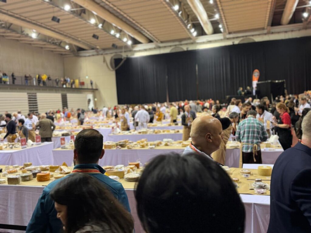  Até domingo, somos todos "afinadores" de queijo no maior concurso do mundo que decorre em Viseu