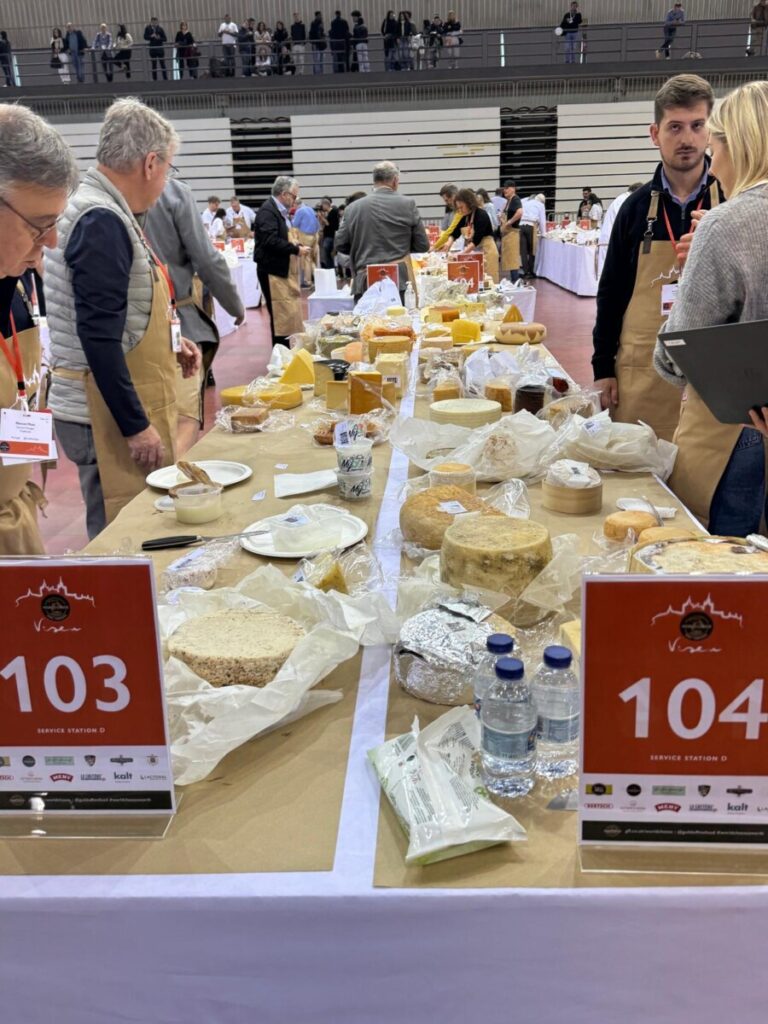  Até domingo, somos todos "afinadores" de queijo no maior concurso do mundo que decorre em Viseu