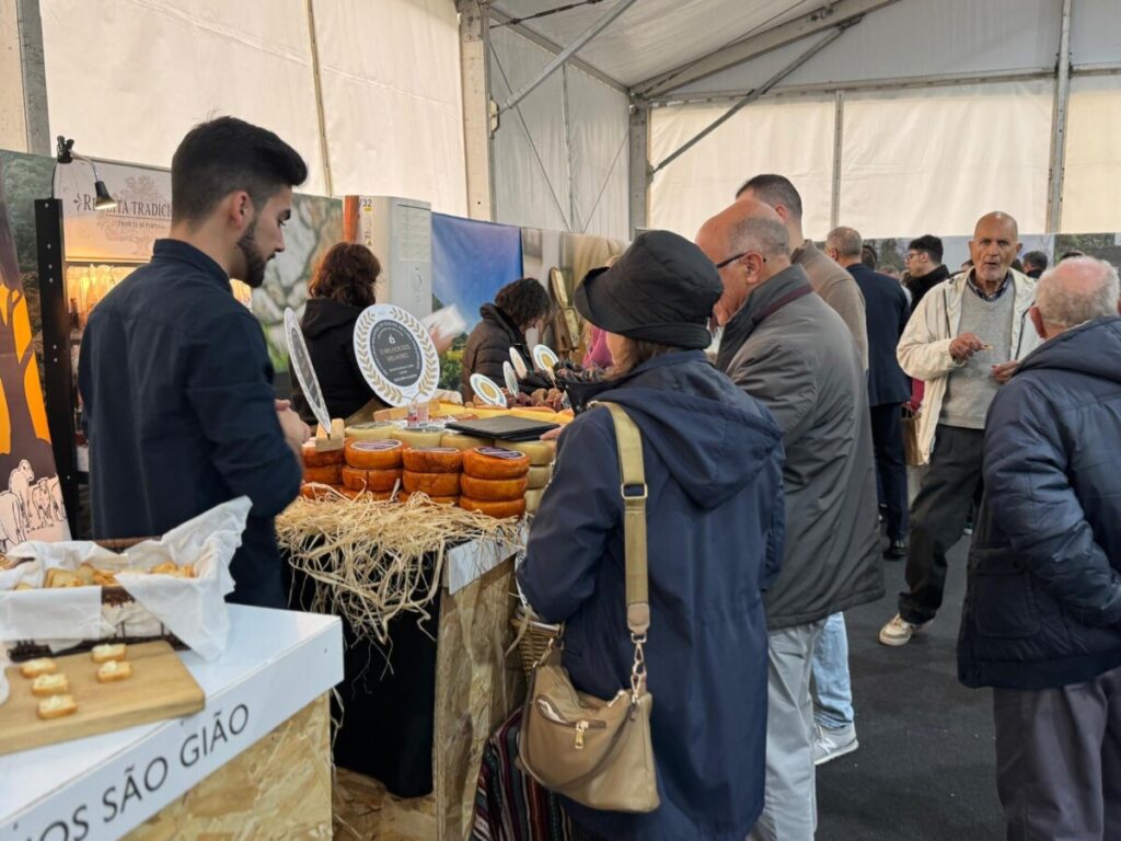  Até domingo, somos todos "afinadores" de queijo no maior concurso do mundo que decorre em Viseu