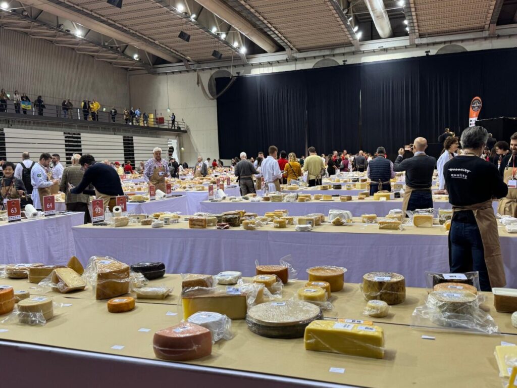  Até domingo, somos todos "afinadores" de queijo no maior concurso do mundo que decorre em Viseu