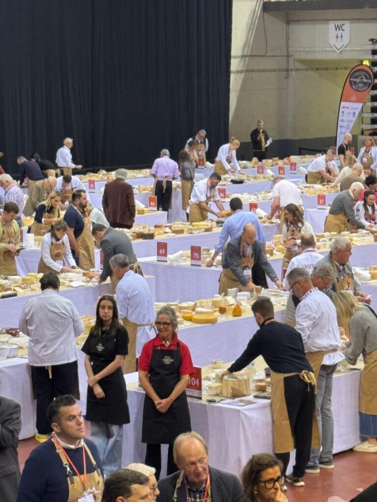  Até domingo, somos todos "afinadores" de queijo no maior concurso do mundo que decorre em Viseu