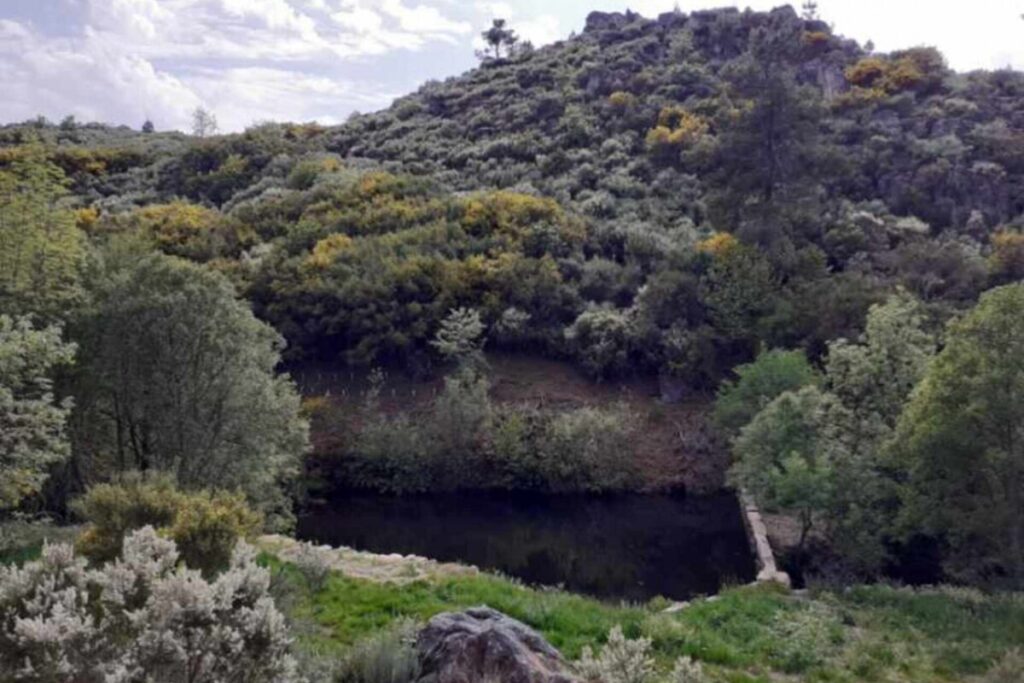  Santa Comba Dão recebe debate sobre turismo, património e floresta