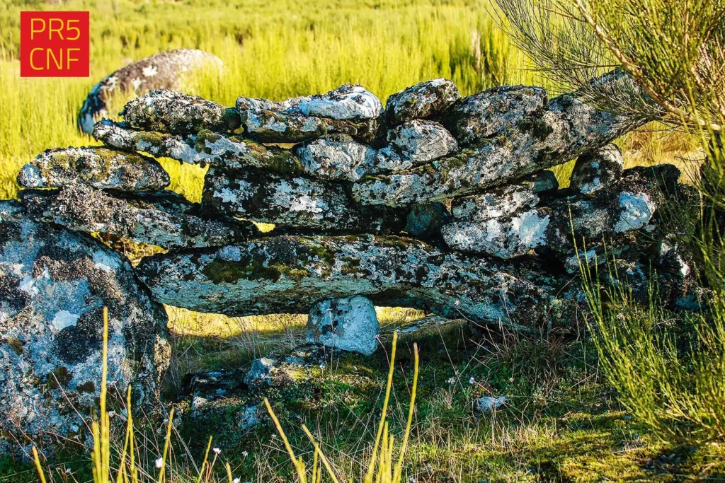  Cinfães no Outono: um refúgio natural