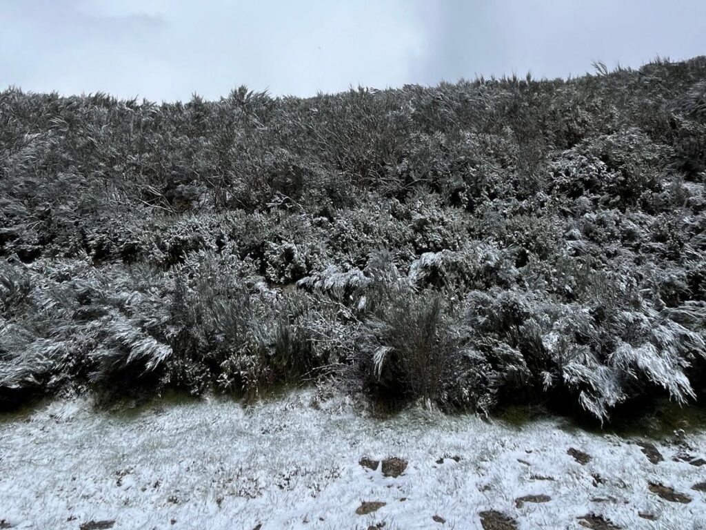  Estradas reabertas na Serra da Estrela: autoridades pedem precaução aos visitantes