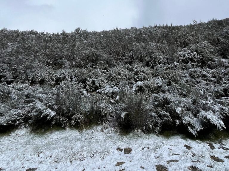 neve serra da estrela jornal do centro