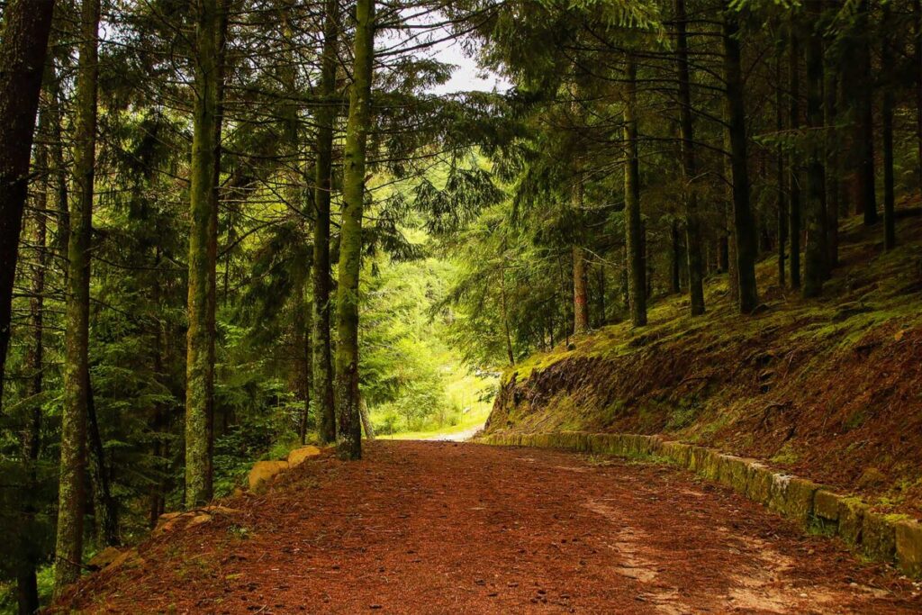  Cinfães no Outono: um refúgio natural