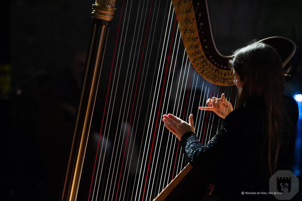  Orquestra Clássica do Centro atua esta quarta-feira no Tribunal de Viseu