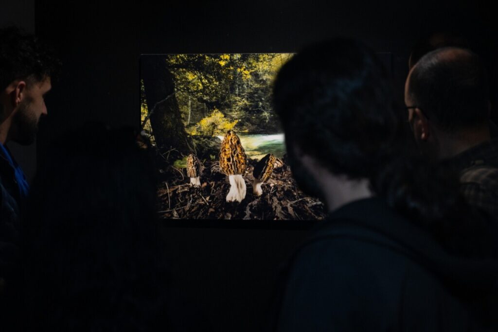  Fotógrafos nacionais e internacionais em mais uma edição do Festival de Imagem de Natureza de Vouzela