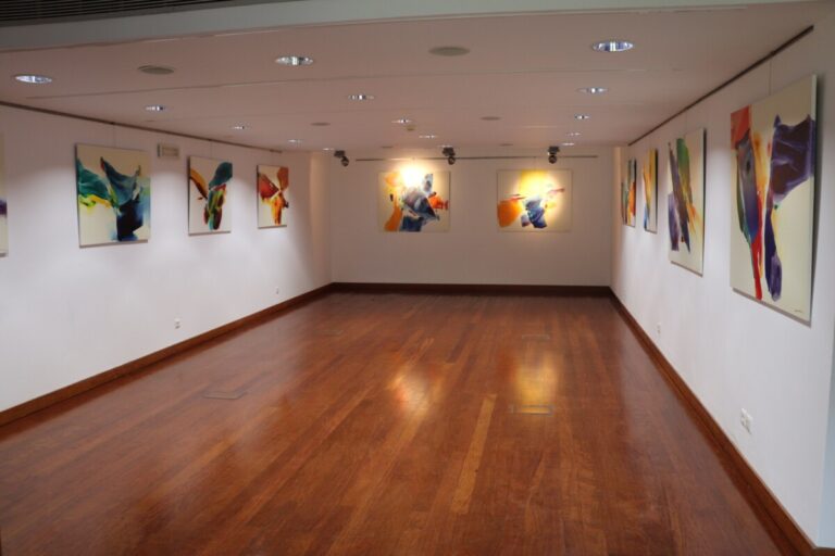 exposição interações cromáticas vila nova de paiva