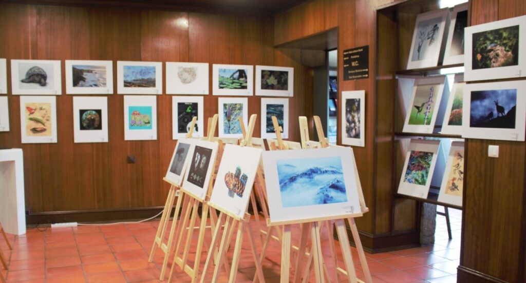  Natureza e biodiversidade em exposição de fotografia na Biblioteca de Santa Comba Dão