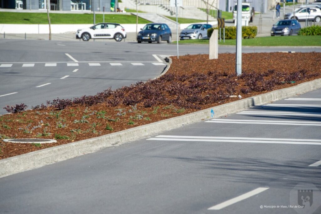  Separadores rodoviários do Palácio do Gelo (Viseu) com nova vegetação para poupar água