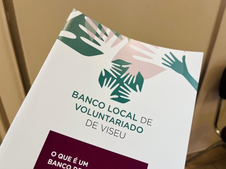 Banco Local de Voluntariado de Viseu 2