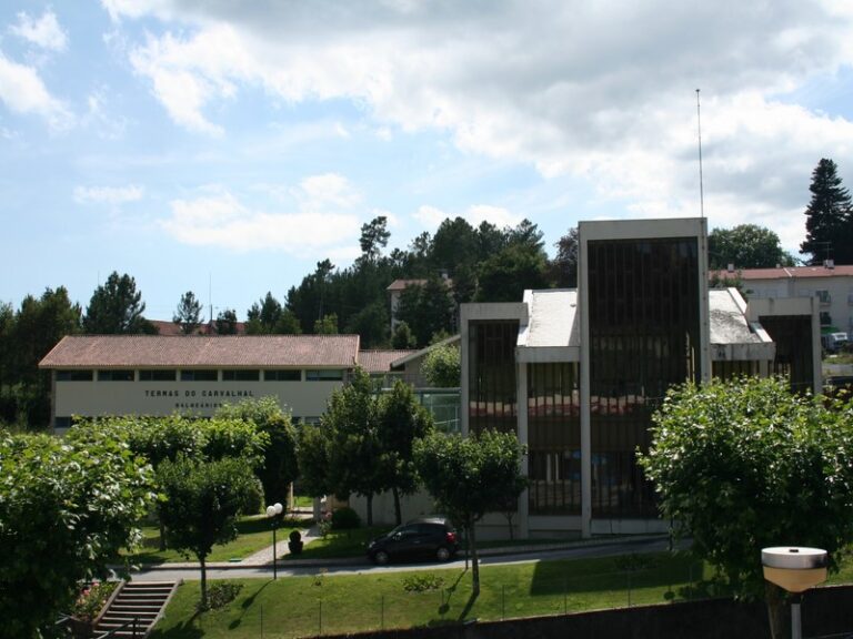 termas do carvalhal castro daire