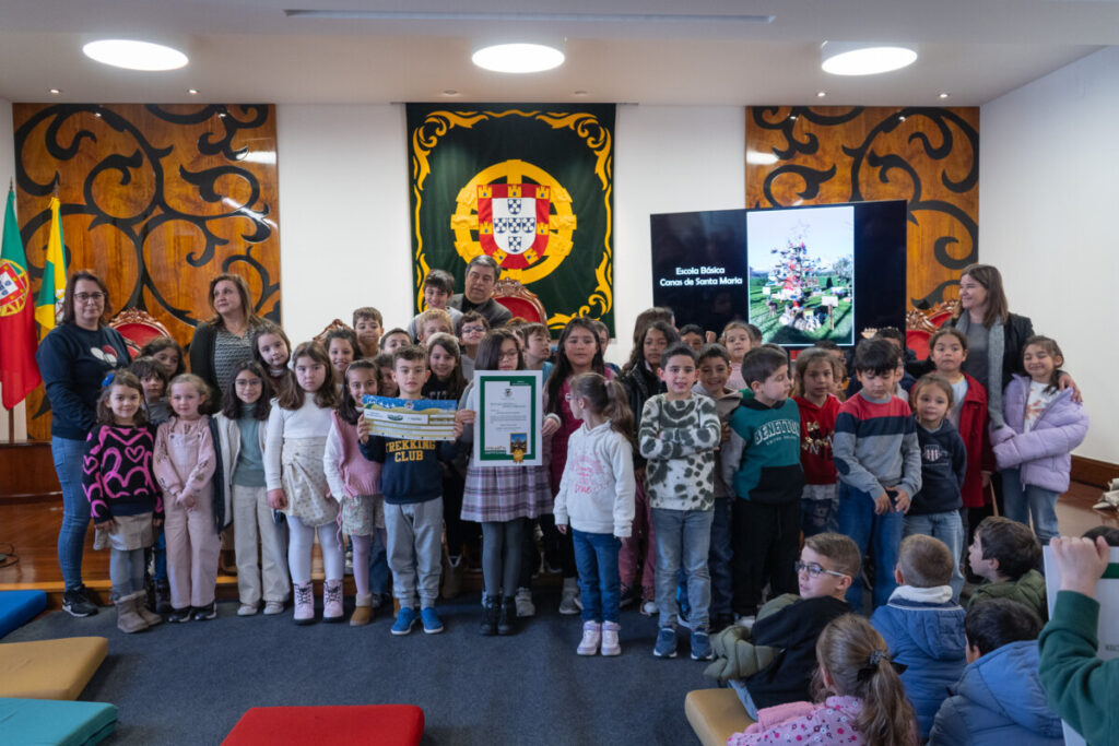  Tondela: Escola básica e centro de animação vencem concurso de decorações de Natal