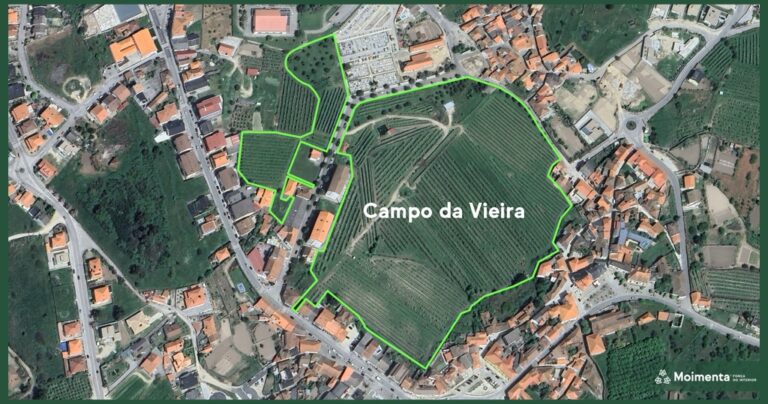 campo de vieira moimenta da beira