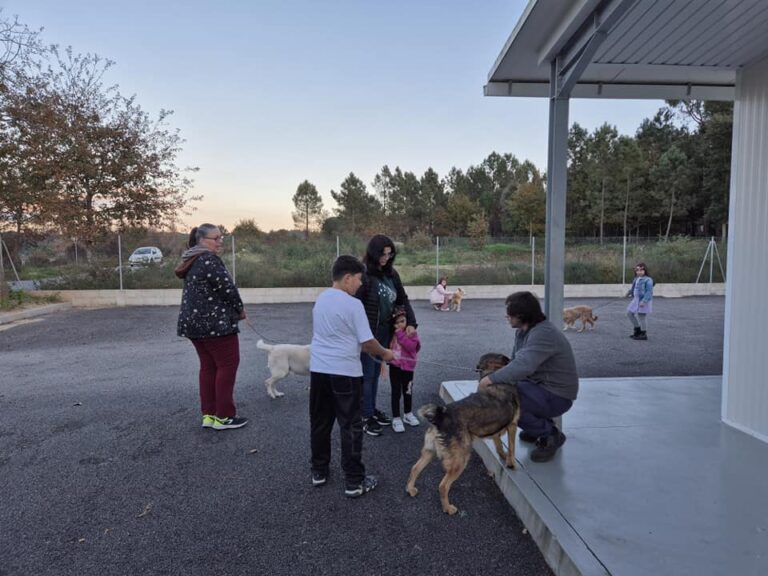 croa carregal do sal animais