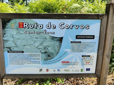  Quer caminhar? Cinco percursos pedestres para descobrir a natureza de Viseu