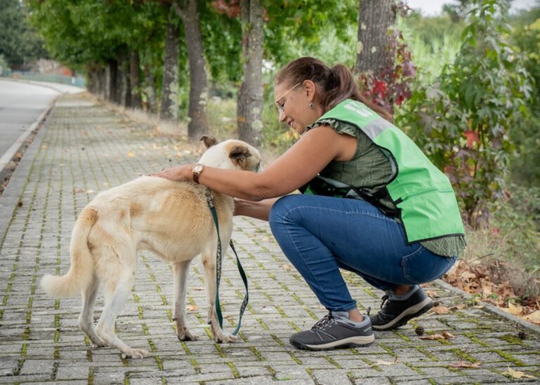 ANIMAL ESTIMAÇÃO