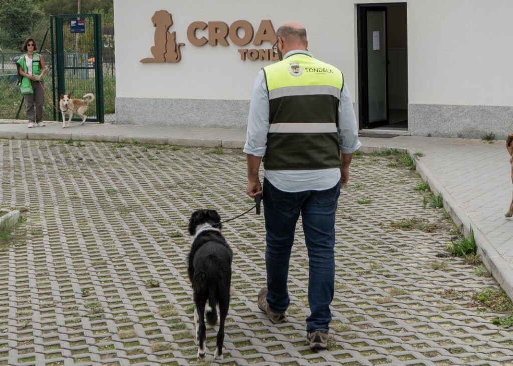  Canil de Tondela com mais de 200 adoções de animais em 2024