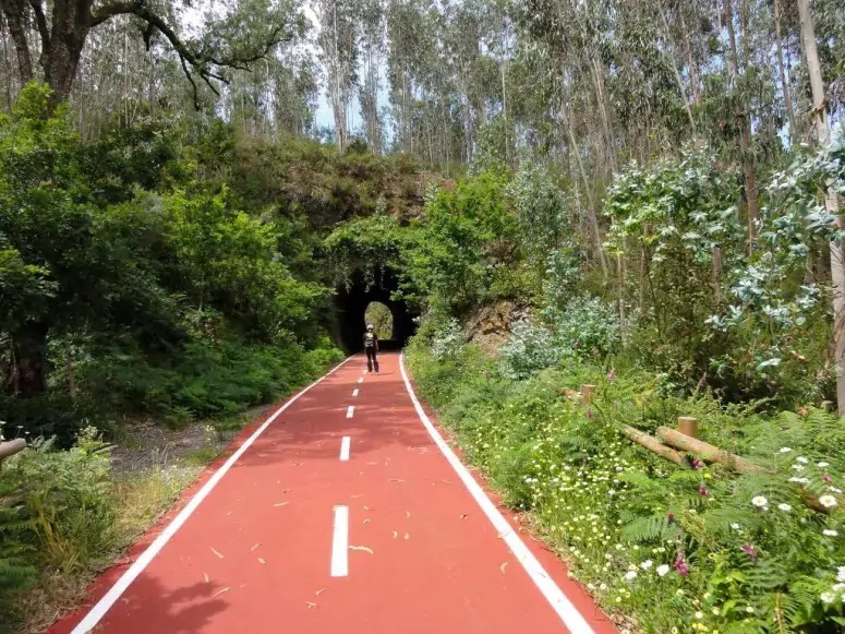  Ecopista do Vouga: Queda de muro condiciona circulação em Viseu