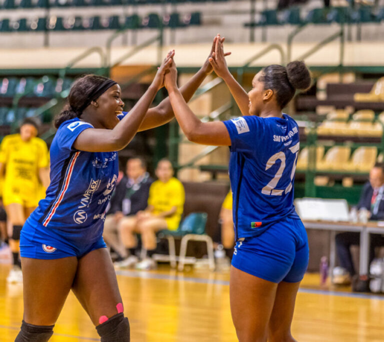 Academia de Andebol de São Pedro do Sul