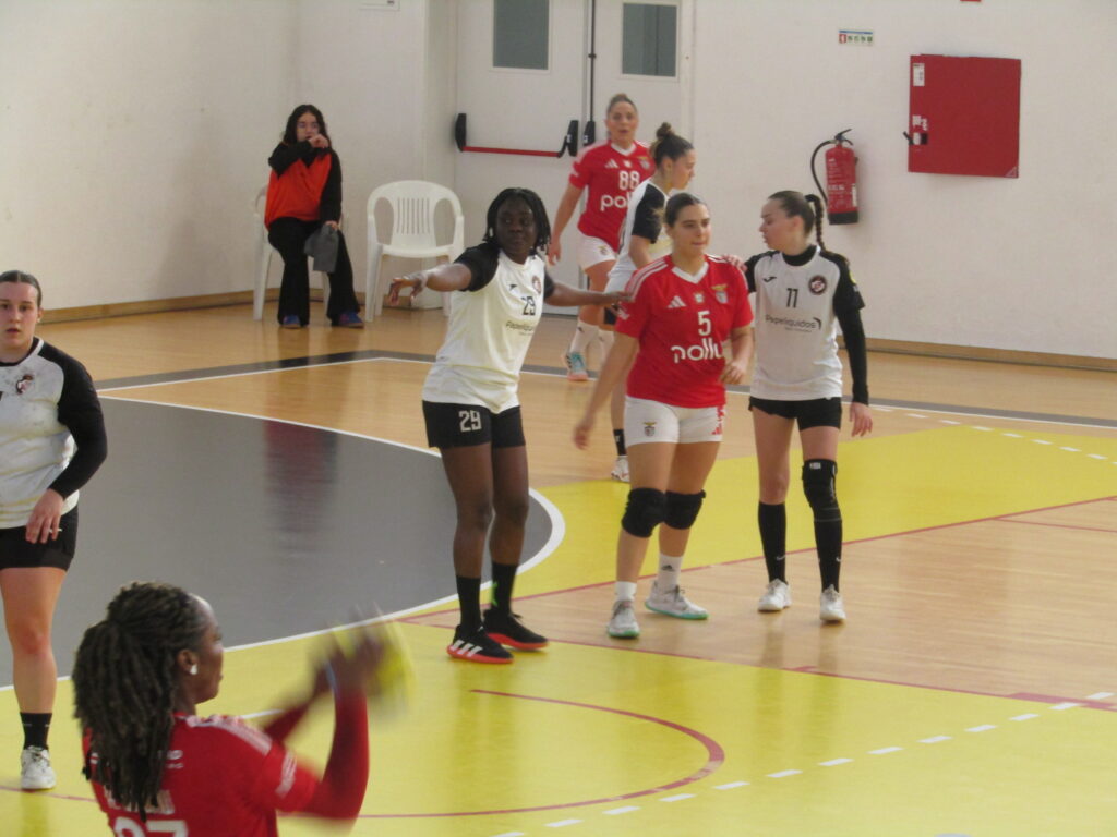  Jogo de andebol entre Lusitano FCV e SL Benfica leva centenas de adeptos ao Fontelo