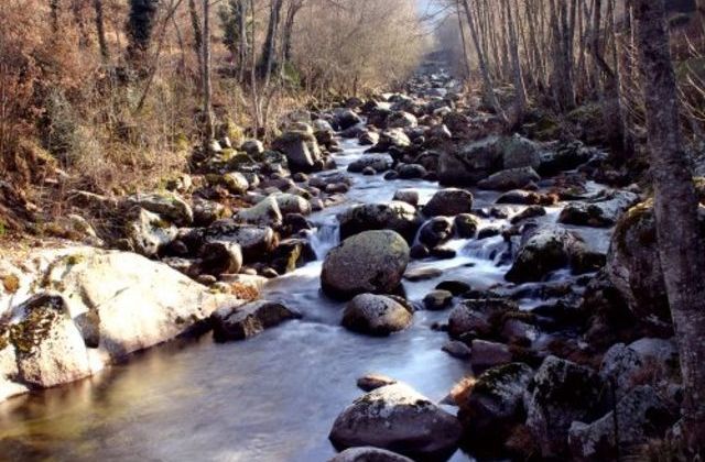  Os cinco rios que tem de conhecer e atravessam o distrito de Viseu