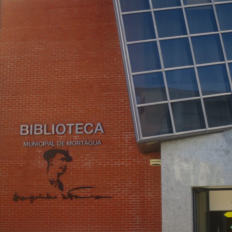 biblioteca municipal mortágua