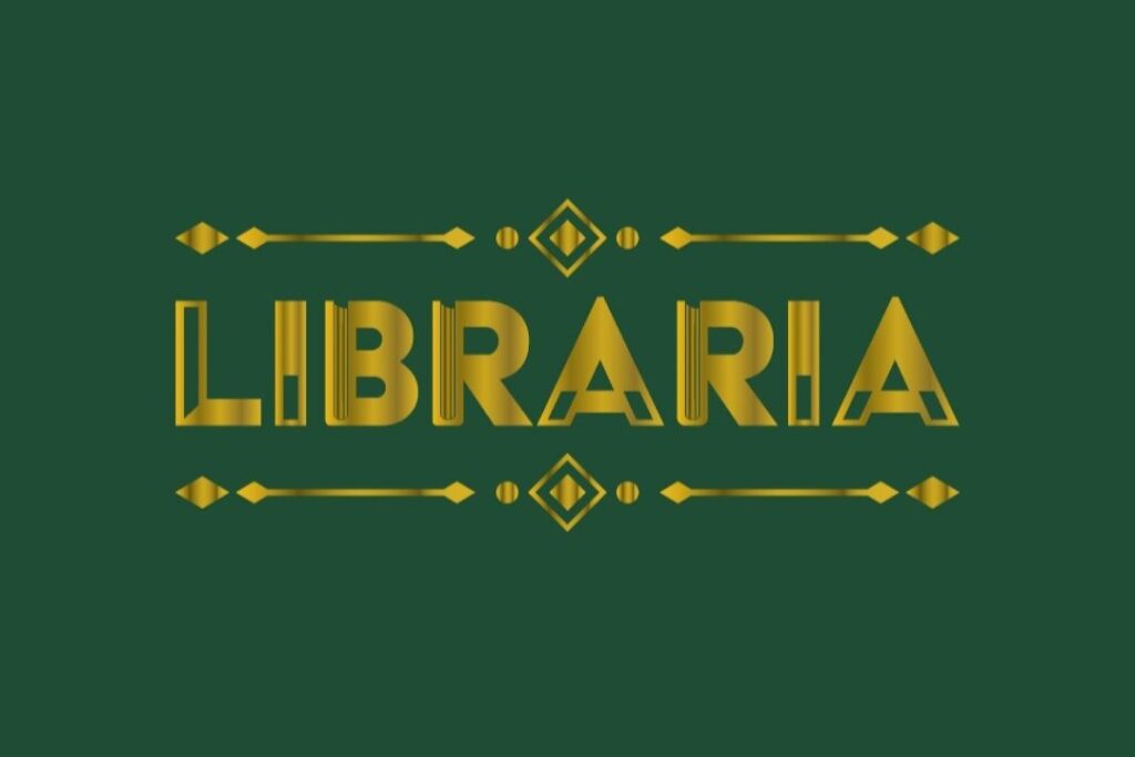  "Libraria" independente vai abrir portas em Viseu