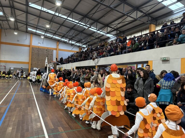 carnaval infantil canas de senhorim nelas