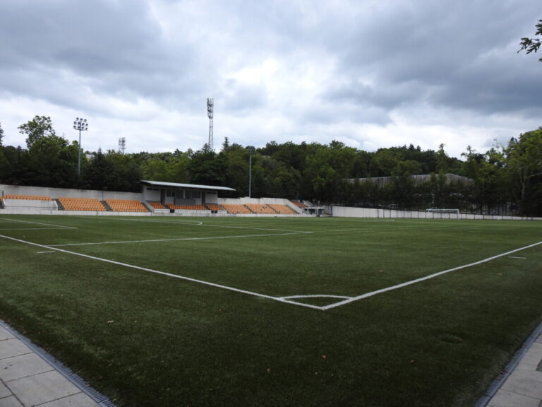 campo 1º de maio créditos Município de Viseu