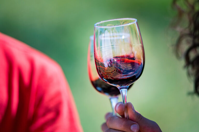 Vinho copo Hand holds two glasses with red wine next to grapes in nature