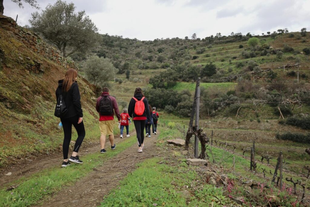  Em Armamar há uma caminhada com pausa para degustação de vinhos e doces de maçã