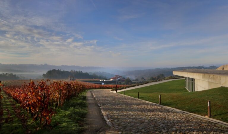 Quinta de Lemos_2