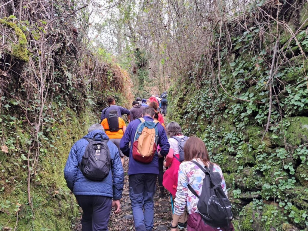  Autarquia de São Pedro do Sul convida a passeios pedestres a partir deste mês