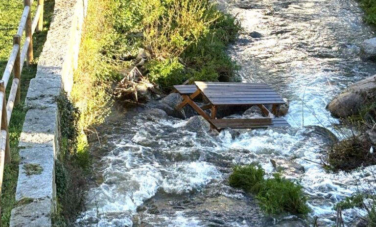 parque lamego vandalismo