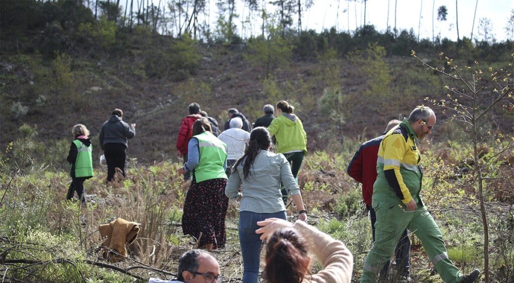  APPACDM adia para 27 de março ação de reflorestação na Serra do Crasto - Jornal do Centro