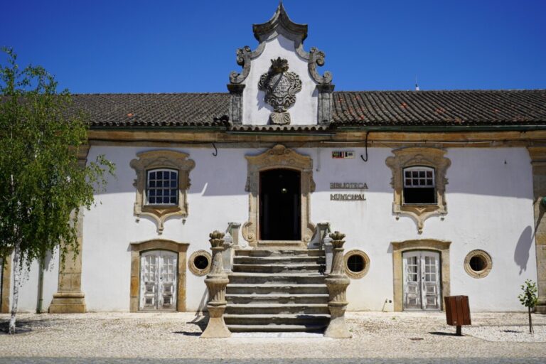 biblioteca municipal sátão